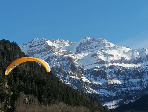 gleitschirm lenk w
